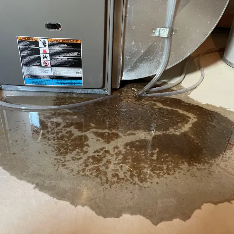 Appliance Leak Cleanup in Sabinal, TX